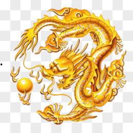 爆料五爪金龙视频大全集,揭秘古老神兽的传奇故事  第2张